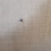 Заднее правое крыло