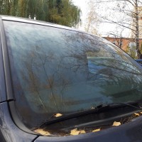 Ветровое стекло