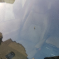 Ветровое стекло