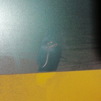 Заднее левое крыло