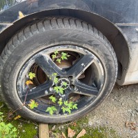 Фото транспортного средства