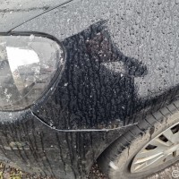 Переднее левое крыло