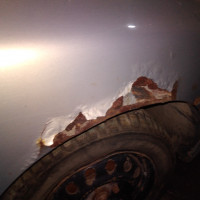 Переднее правое крыло