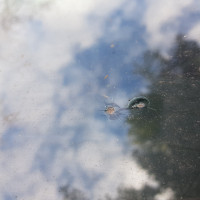 Ветровое стекло