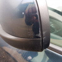 Левое дверное зеркало