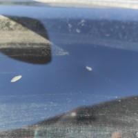 Передняя левая дверь