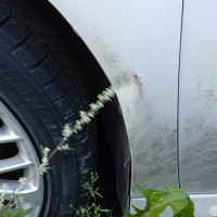 Переднее левое крыло