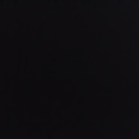 Левое дверное зеркало