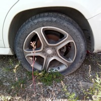 Фото транспортного средства