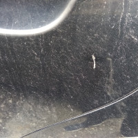 Задняя левая дверь