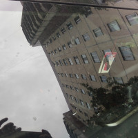 Ветровое стекло