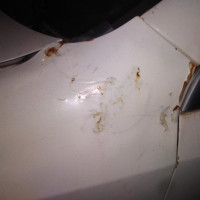 Переднее левое крыло