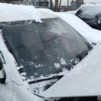 Ветровое стекло