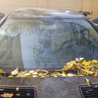 Фото транспортного средства