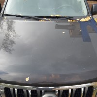 Фото транспортного средства