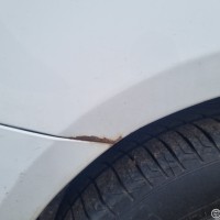 Заднее правое крыло