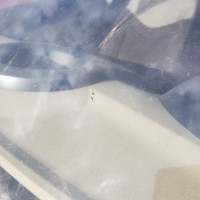 Ветровое стекло