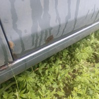 Передняя левая дверь