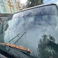 Ветровое стекло