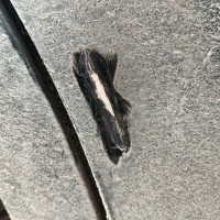 Задняя правая дверь