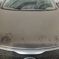 Фото транспортного средства