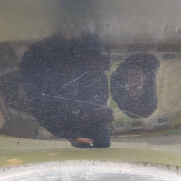 Заднее левое крыло