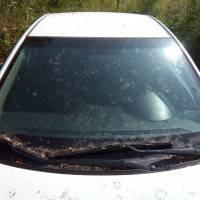 Фото транспортного средства