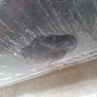 Передняя правая дверь