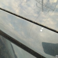 Переднее правое крыло