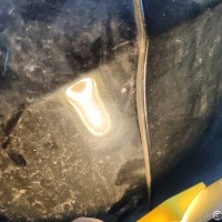 Передняя левая дверь