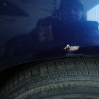 Заднее левое крыло