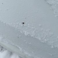 Передняя левая дверь