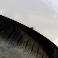 Переднее левое крыло