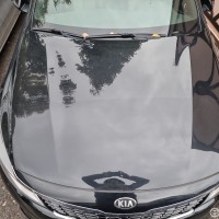 Фото транспортного средства