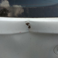 Крышка багажника