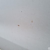 Задняя левая дверь