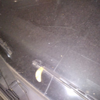 Ветровое стекло