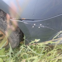 Задний бампер