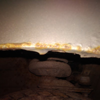 Переднее левое крыло