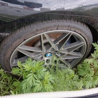 Фото транспортного средства
