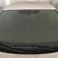 Ветровое стекло