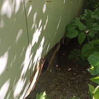 Заднее правое крыло