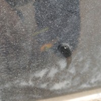 Передняя левая дверь