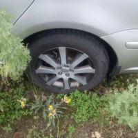 Фото транспортного средства