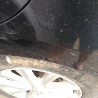 Заднее левое крыло