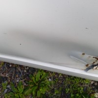 Задняя правая дверь