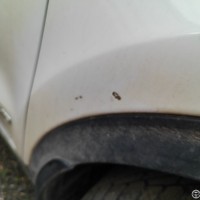 Переднее правое крыло