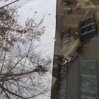 Ветровое стекло