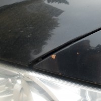 Переднее левое крыло