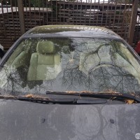 Фото транспортного средства